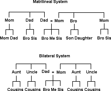Kinship systems compared